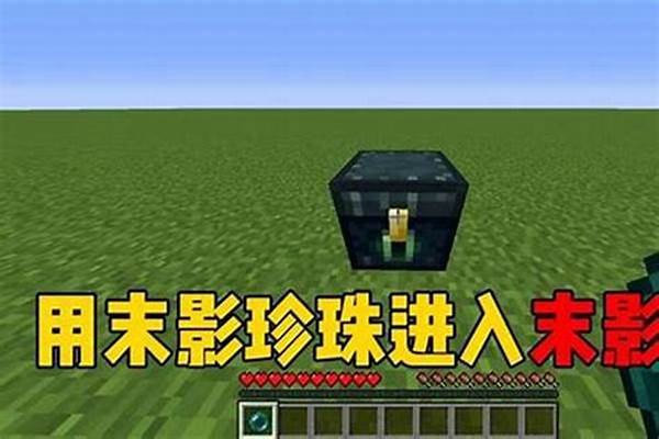 40000个TNT能否炸死末影龙