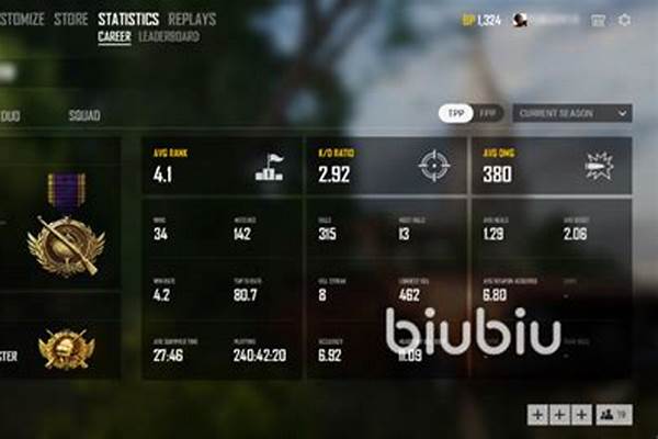 pubg战绩_绝地求生怎么查询战绩