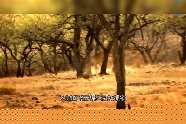 一个身手敏捷体力勇猛的人，只能用大刀长剑