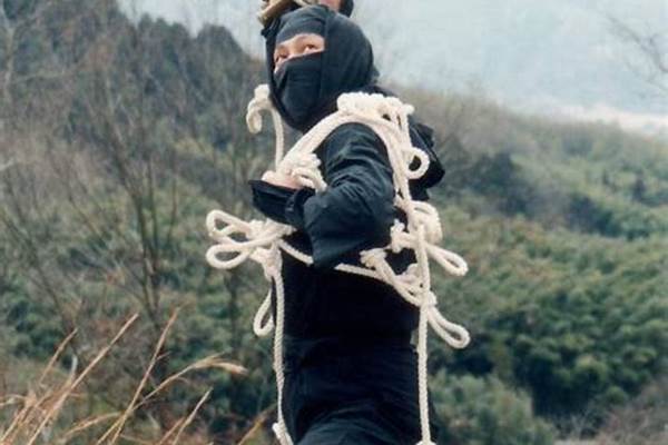 伊贺流忍者是什么（周杰伦的《忍者》）