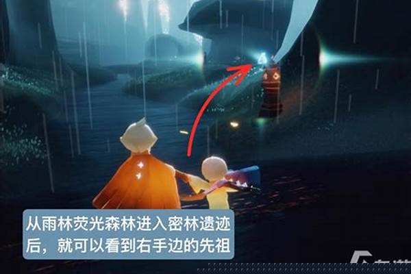 光遇雨林头搭配-光遇雨林屋顶怎么上