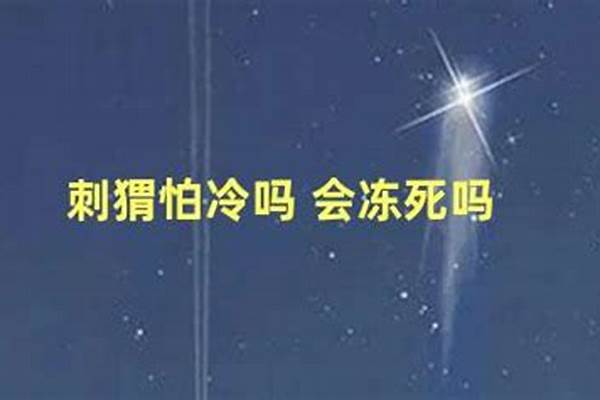 刺猬怕冷吗