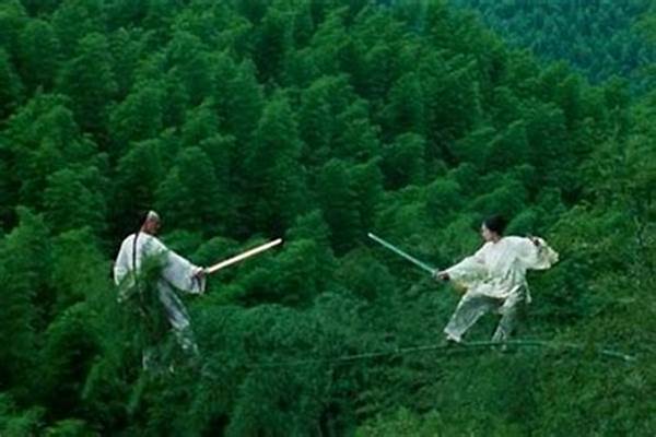 卧虎藏龙历史背景