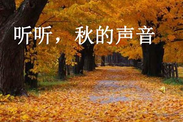 听听秋的声音里黄叶在说什么