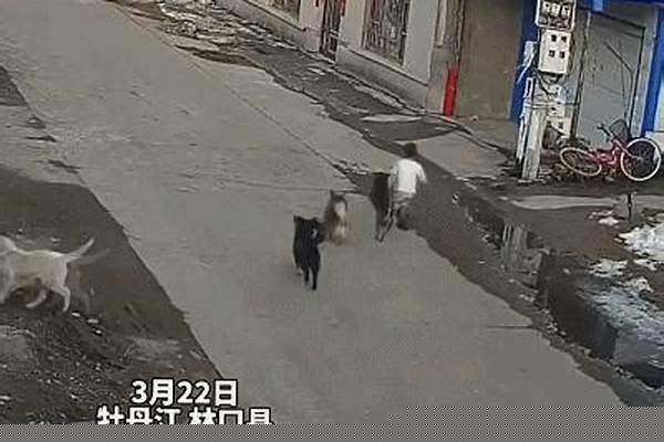 在路上碰到流浪者你会怎么做呢