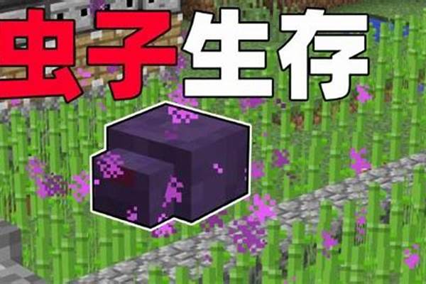 我的世界末影螨怎么生成