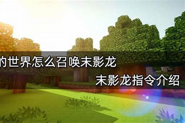 我的世界末影龙指令自爆_我的世界什么方块炸不掉