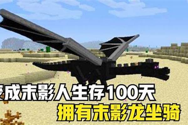 我的世界生存末影龙怎么找