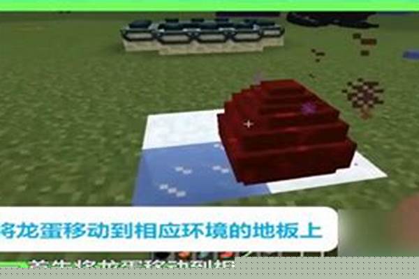 我的世界翡绿龙蛋怎么孵化