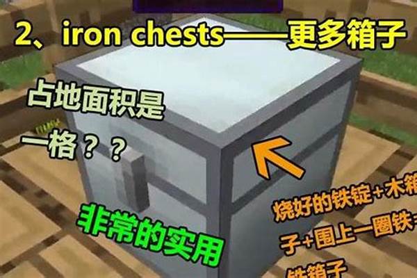 我的世界能背着的箱子_飞机随身行李是双肩包可以吗