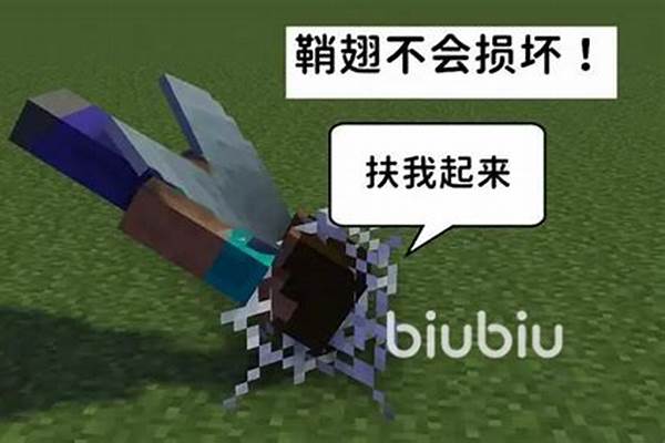 我的世界鞘翅怎么飞行_蜜蜂是怎样飞蜜蜂为什么会飞呢