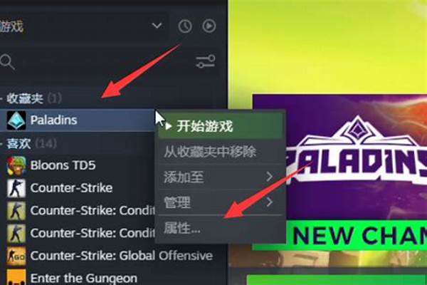 枪火游侠视频设置界面默认设置_枪火游侠steam版如何改中文，中文设置