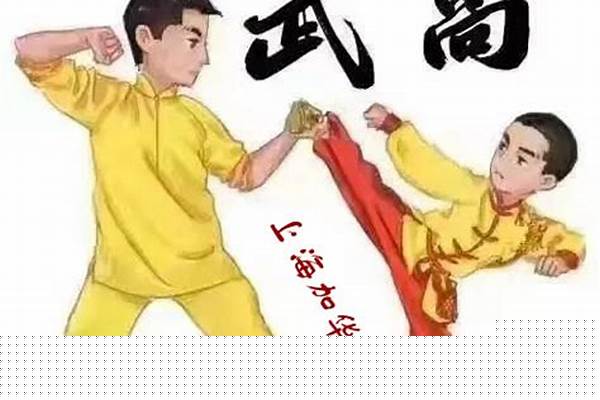 武术能不能自学