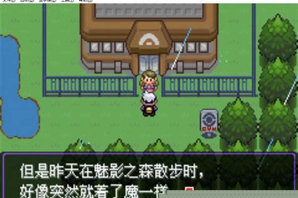 求口袋妖怪漆黑魅影，开朗，毒疗，斗笠菇，