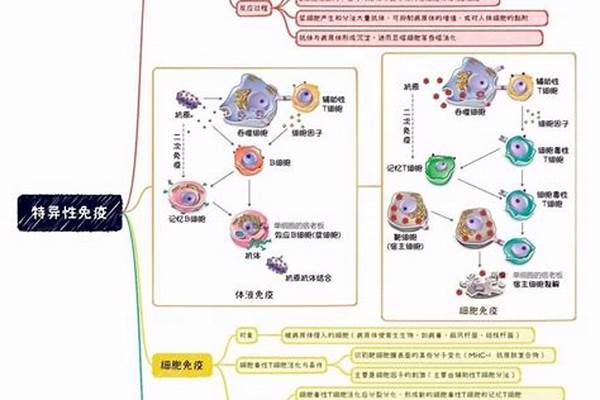 游戏可以输但是ID必须骚，你见过哪些有趣