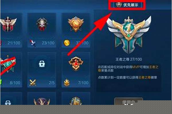 王者荣耀会员标志显示在哪里_王者荣耀肿么看贵族