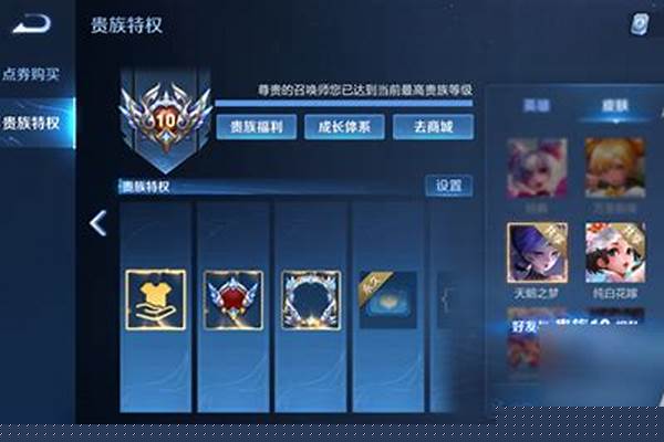 王者荣耀肿么看贵族