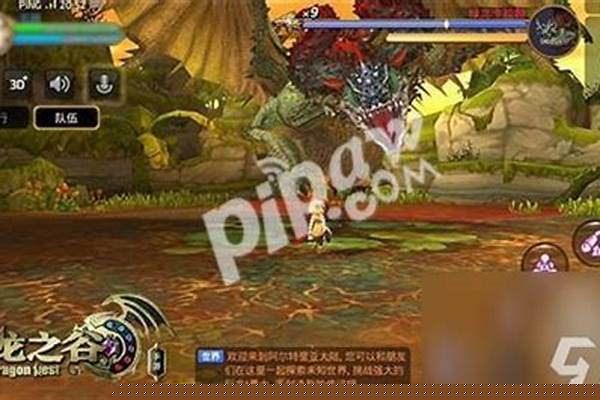 玩龙之谷画面卡死或者黑屏是怎么回事，特别