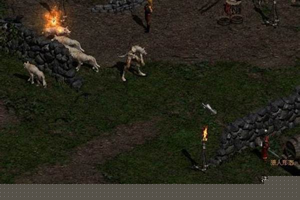 经典游戏《暗黑2》当年追杀我们的暗金怪,