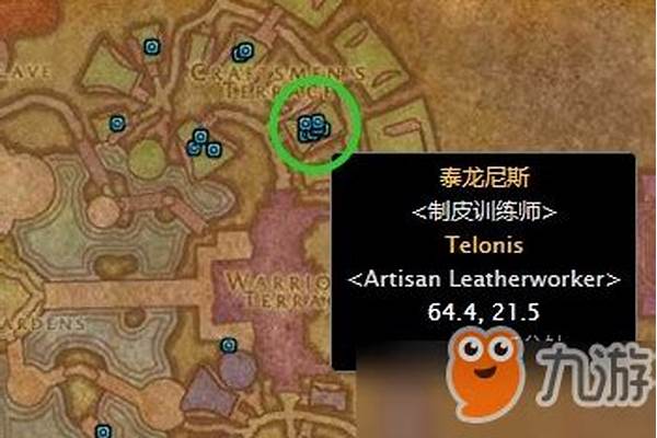 部落高级制皮哪里学
