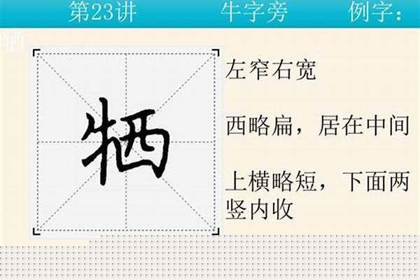 马牛字旁的字