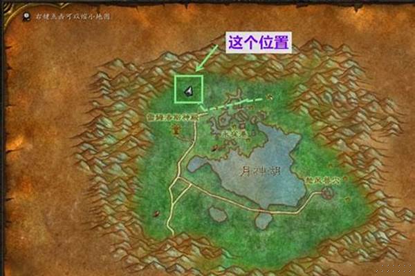 魔兽世界动物之灵在哪_人是万物之灵，然而世界上有许多动物所具有