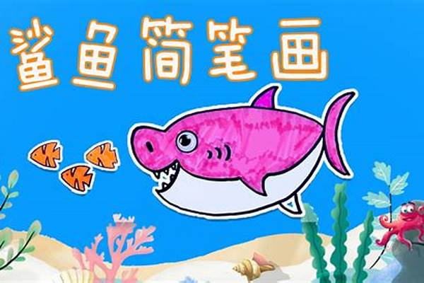 鲨鱼鲨鱼几点了怎么玩_鲨观赏鱼怎么养
