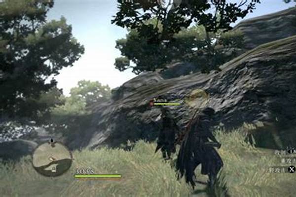 龙之信条黑暗魔女之森任务无法完成,魔女之
