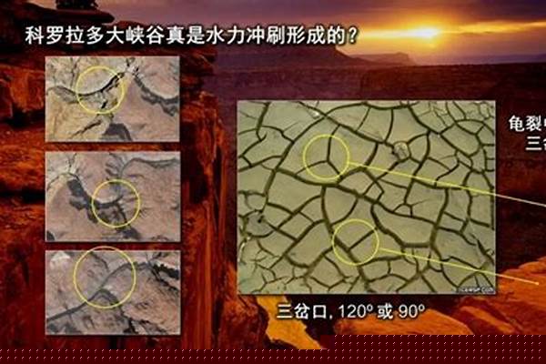 龟裂的解释是什么